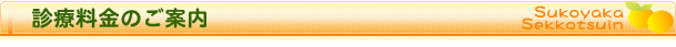 診療料金のご案内